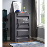 Cargo Gunmetal Chest Model 35925 By ACME Furniture
